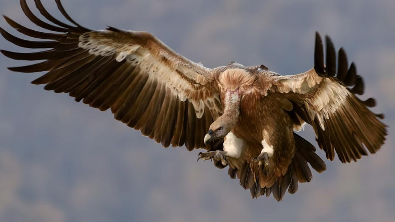 how to make a wordpress website a wordpress tutorial for beginners