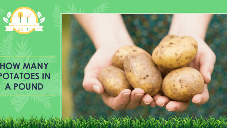 HOW MANY POTATOES IN A POUND?