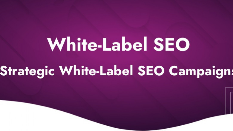 Improving Your Search Engine Ranking With SEO Specialists