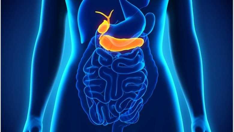 Jaundice and abdominal pain are signs of bile duct cancer.