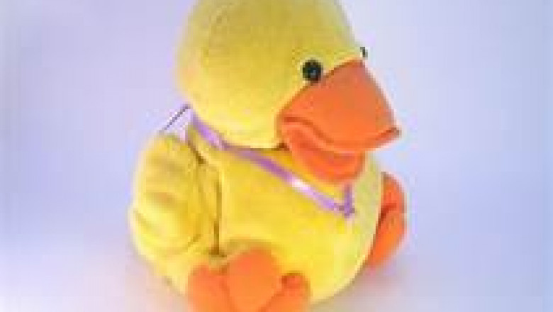 Let's kick the DOGS OUT and begin the DUCK revolution |quackgold