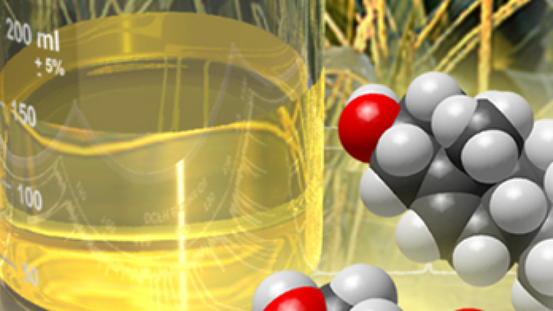 Propylene Market (CAGR of 5.25%) 2030: Global Industry Size, Share, Trends, Analysis Report | ChemAnalyst