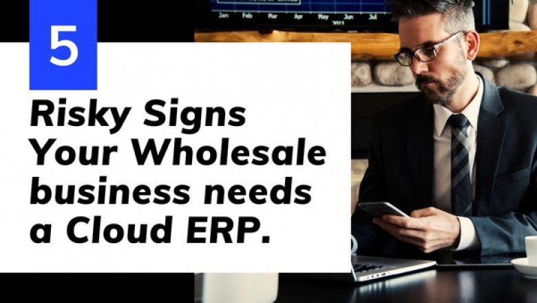 Risky Signs Your Wholesale Business Needs a Cloud ERP Software