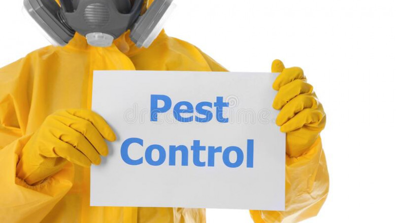 Best Pest Control in Hyderabad