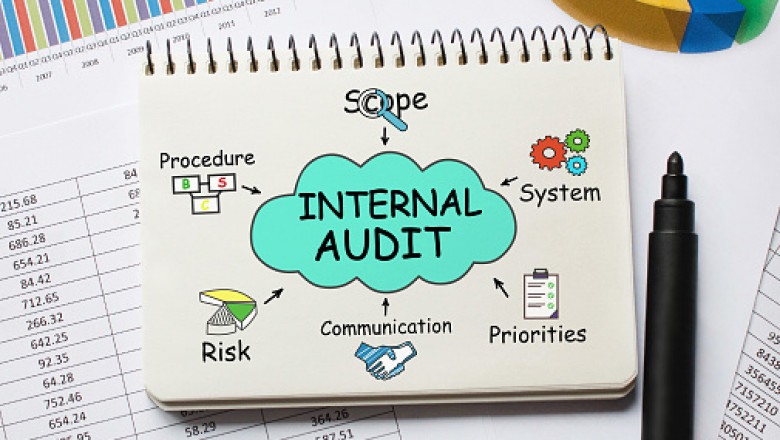 What Are the Criteria for Internal Audit Services for Appointment?