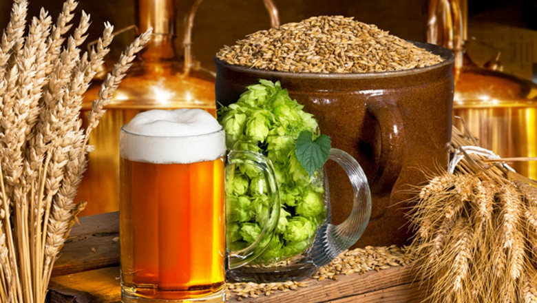 Brewing Enzymes Market 2021: Industry Size, Share Analysis, Future Trends, Global Demand, Top Players, Business Strategies with Leading Regions and Growth Forecast to 2027