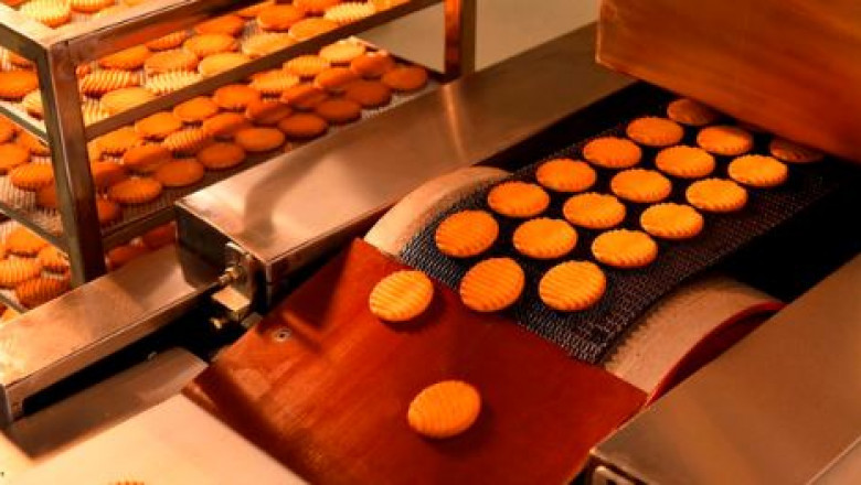 Biggest Food Manufacturer Company