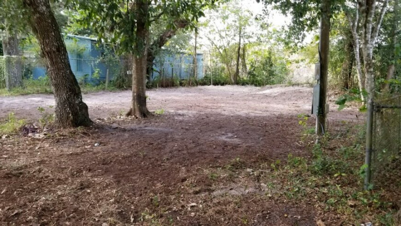 What Does a Land Clearing Company Do?