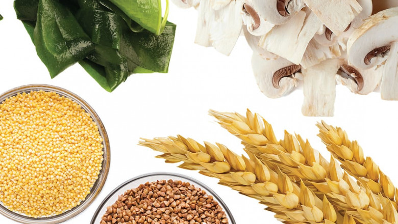 Beta Glucan Market 2022 | Size, Growth, Trends, Demand and Forecast 2027