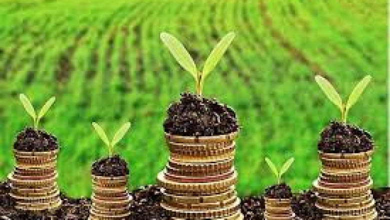 Exhaustive Study on Biopesticides Market 2021| Strategic Assessment by Top Players like Syngenta, Bayer