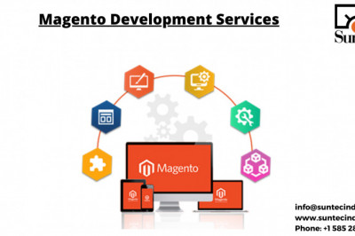 Magento Website Development Services