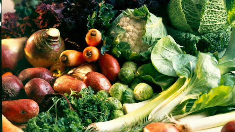 Saudi Arabia Organic Farming Market Analysis & Trends - Industry Forecast to 2026