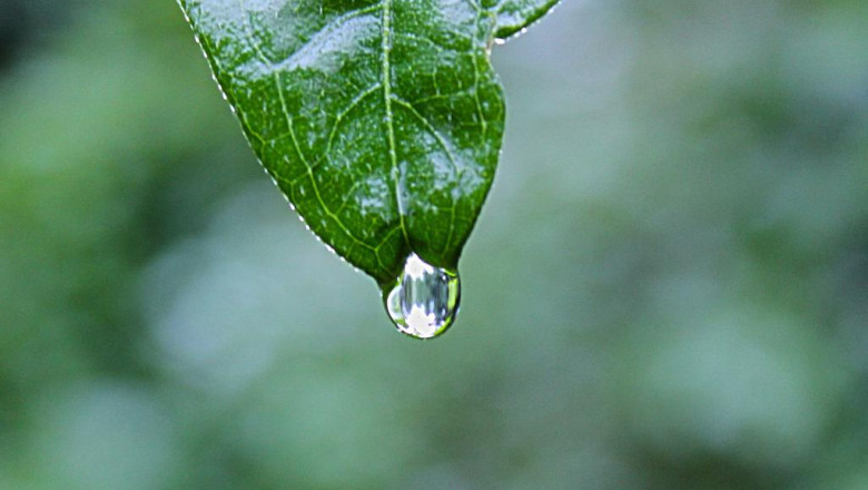 a summary of the most productive hobbies at home that you just could be interested in