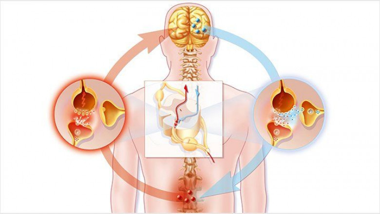 Neuropathic Pain Market 2021 - Industry Insights, Key Trends, Growth and Forecast to 2028