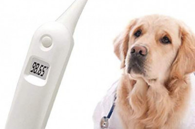 Pet Temperature Monitor Market: Ready To Fly on high Growth Trends | Top Players are Ideal Sciences