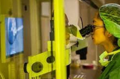 Remains Freezing Service Market: Ready To Fly on high Growth Trends