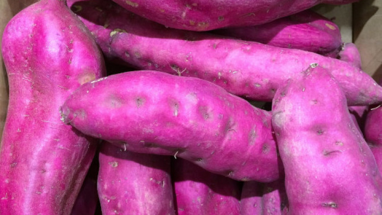 Things You Need To Know About The Natural Food Colors