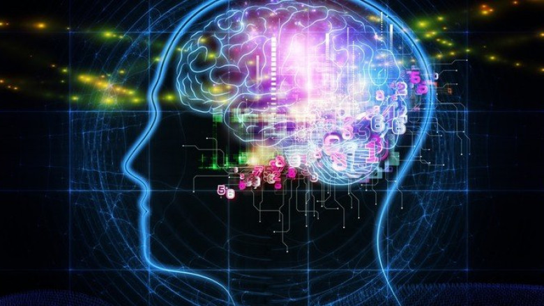 Why Are Brain Boosting Nootropics So Popular?