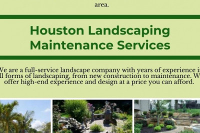 Best Landscaper in Spring | Professional Landscaping Designs
