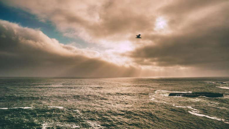 how technology is changing how we treat experience vr