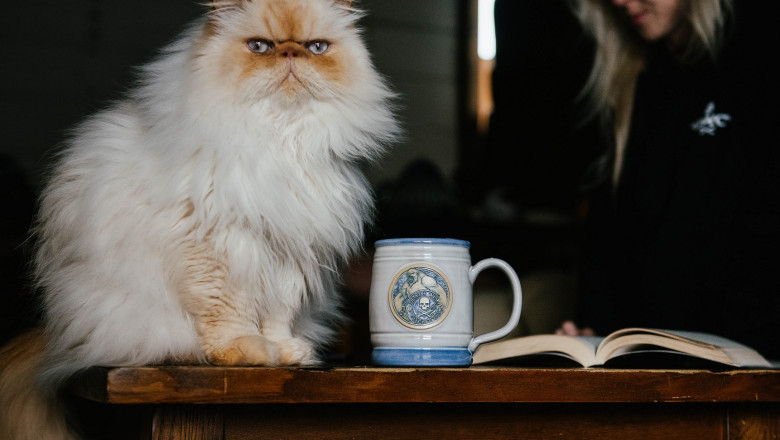 Why Drinking Strong Coffee on New Year’s Day Makes Everything Better