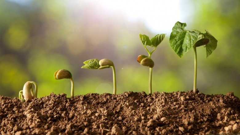 Europe Biostimulants Market 2021: Size, Share, Growth and Forecast 2026