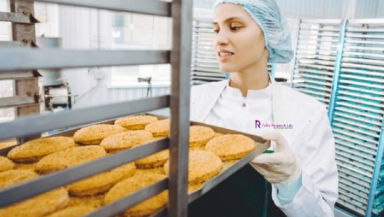 Food Pilot Plant Contract Manufacturing