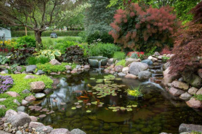 Why Koi Pond Installation Should Be Done By Professionals