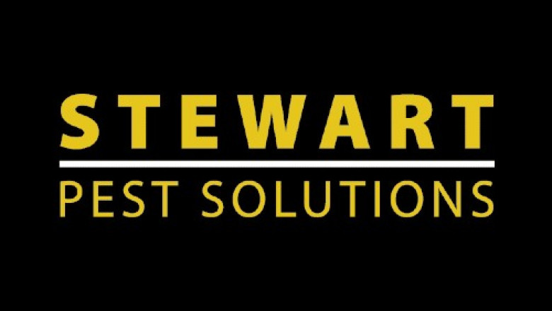 Boxelder Bugs - Stewart Pest Solutions