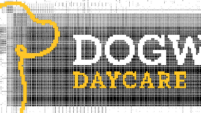 Best Dog Day Care Service | Dog Wise Day Care