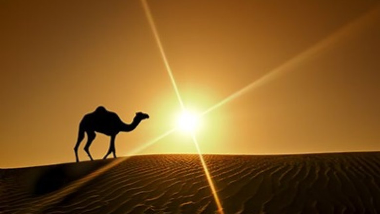 Desert Party Dubai ###1