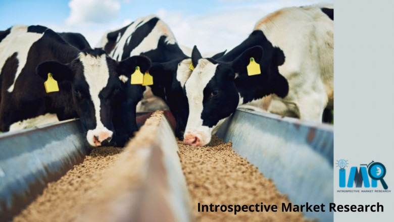Feed Additives Market to Eyewitness Huge Growth by 2027 Focusing on Top Leading Vendors like BASF SE, Tyson Foods, Inc., Lallemand Inc., Kemin Industries