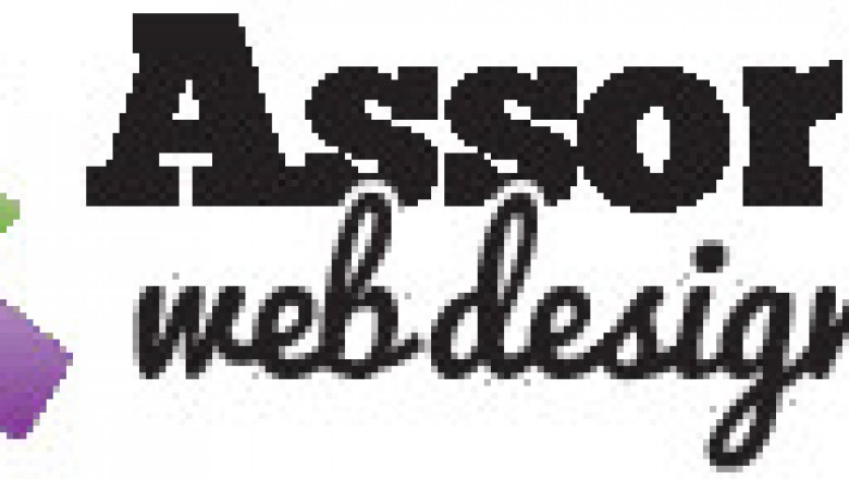 web design and development tampa