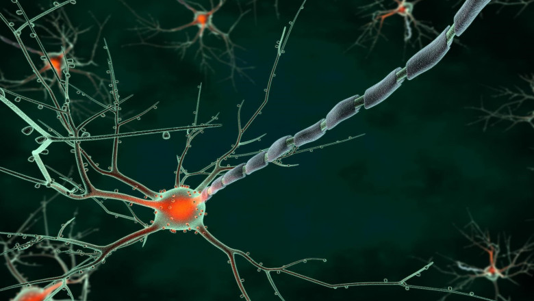 What COVID-19 Impacted on Neurophotonics in the Healthcare Industry ?