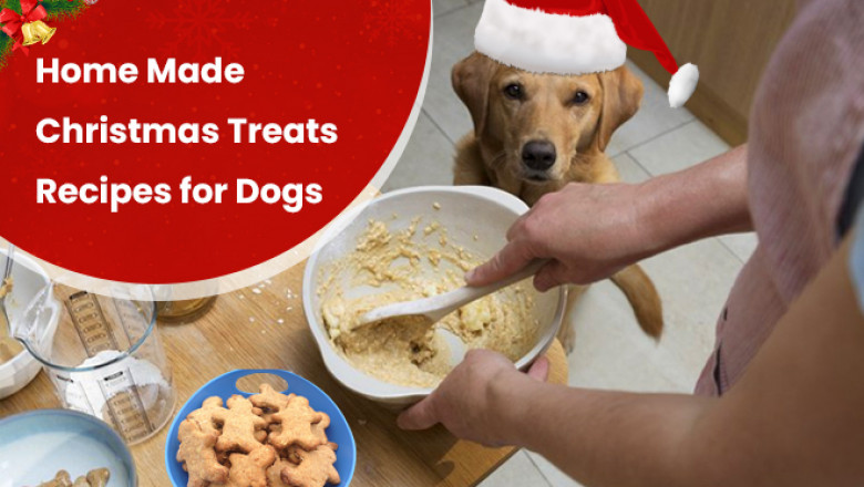 Home Made Christmas Treats Recipes For Dogs | DiscountPetCare