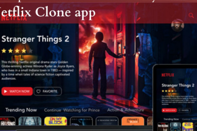 Launch Your Unique Netflix App Development Company