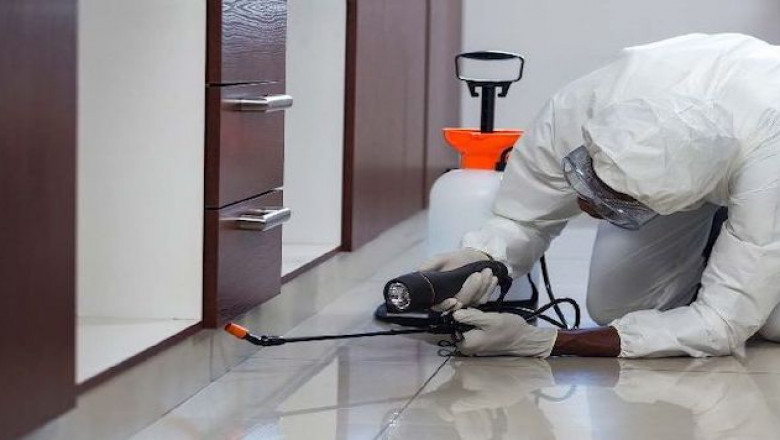 pest control services - pest control Hyderabad