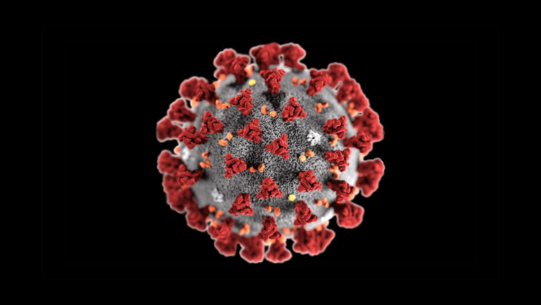 Top queries on Coronaviruses