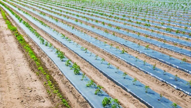 Agricultural Films Market 2021 | Industry Growth, Share, Size, Demand Market Analysis 2026