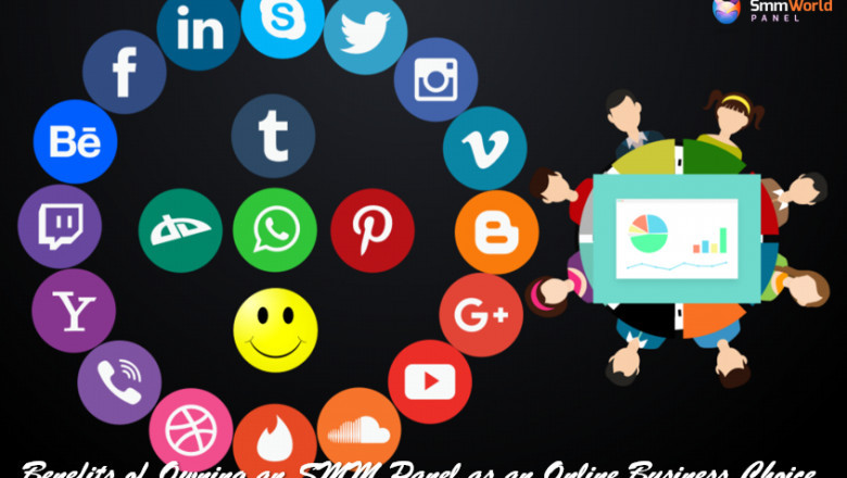Benefits of Owning an SMM Panel as an Online Business Choice