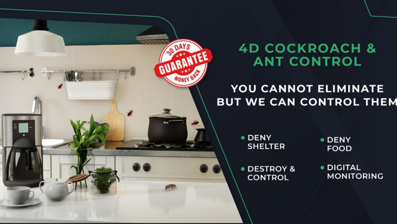 Cockroach Control Services near me - HiCare