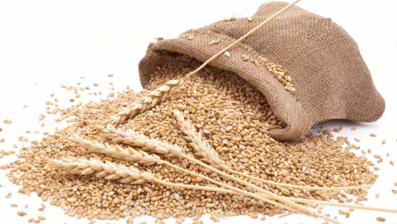 Comprehensive Study on Wheat Protein Market 2021 with Top Leading Vendors like Cargill, Batory Foods