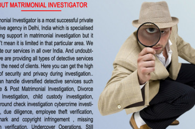 Private Detective in Delhi