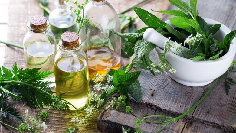 Unani Medicine For Brain Power - How Herbs Use For Purifying The Blood