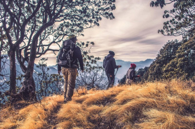 Kasauli Wilderness Camp || Camp In Kasauli