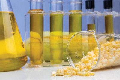 Bio Lubricant Market Trends by Key Players, End User, Demand, Analysis Growth and Forecast 2030 | ChemAnalyst