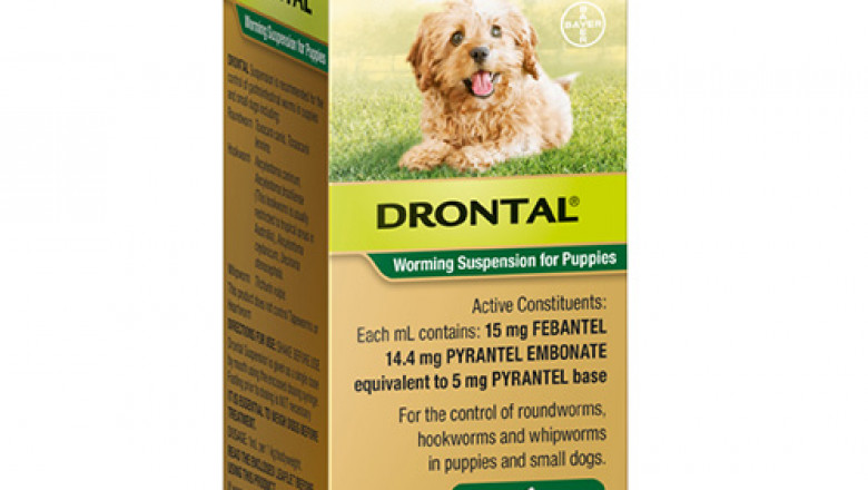 Drontal Worming Suspension For Puppies 30ml | DiscountPetCare