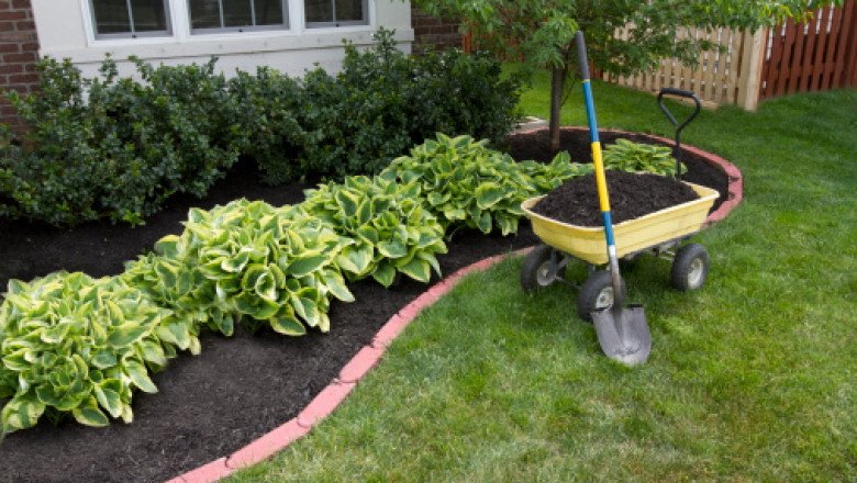 Easy Tips for a Successful Square Foot Garden -BlogsPost