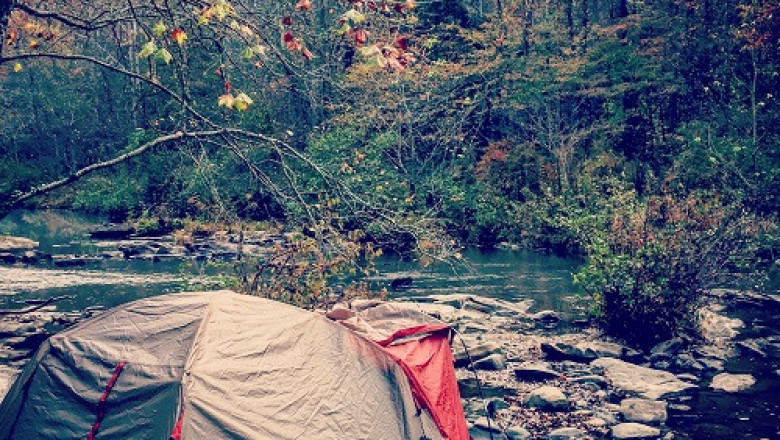 Kasauli Wilderness Camps || About WOWz