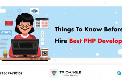 Things To Know Before Hire Best PHP Developer